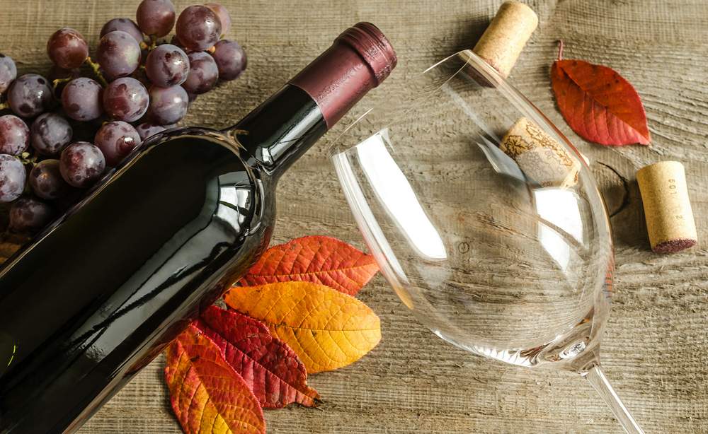 Vinhos